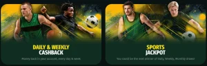 shockz casino cards